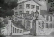 Betty Boop Cartoons