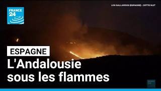Feu en Espagne : 12 morts et 6 600 hectares brûlés en Andalousie • FRANCE 24