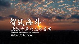 Smart construction overseas: Wuhan's global impact