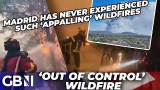 'Humanitarian crisis!' | Wildfire in Spain triggers MASS evacuations as inferno RAGES out of control