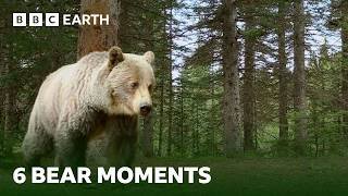 Extraordinary Bear Moments | BBC Earth