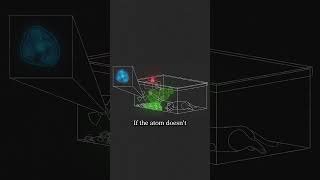 What happens to Schrödinger's cat?