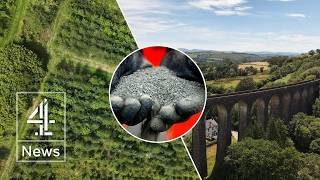 The ‘magic dust’ that make trees able to absorb 30% more carbon