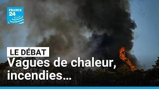 Canicule : l'été de tous les dangers ? • FRANCE 24