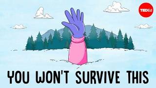 What causes avalanches, and can you survive them? - Simon Trautman