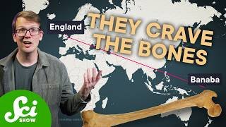 The Time England Ran Out of Bones