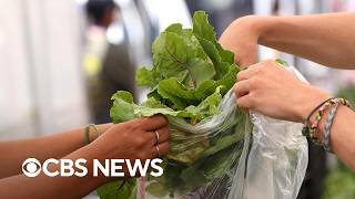 Expert on why the cyclospora parasite has been so hard to track
