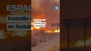 Espagne : incendie mortel en Andalousie, plus de 500 pompiers mobilisés • FRANCE 24