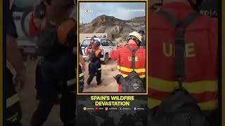 Spain Wildfire Devastation: Emergency Teams Assess Damage In Almería | WION Shorts