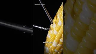 This Microrobot Does Tiny Surgeries