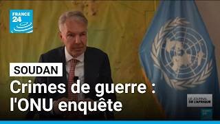 Crimes de guerre au Soudan : l'ONU enquête dans les camps de réfugiés du Tchad • FRANCE 24