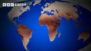 The Evolution of Human Skin Colour | BBC Earth Science