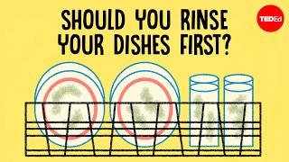 Should you rinse your dishes before placing them in the dishwasher? - Rachel Yang