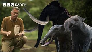 How Evolution ‘Solved a Problem of its Own Making’ | Evolution | BBC Earth Science
