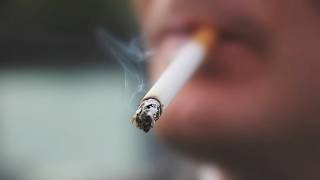 Albanese government ‘reluctant’ to attack the issue of illicit tobacco