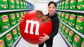 I Bought the World's Biggest Snacks!