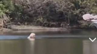 ‘F***ing gobsmacked’: Man survives swim through croc-infested waters