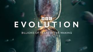 Evolution: Official Trailer | BBC Earth Science