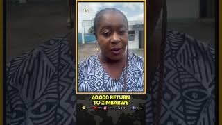 Zimbabwe Confirms 60,000 Returnees as SA Migrant Exodus Grows | WION Shorts
