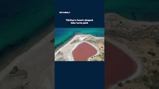 Pink Lake in Türkiye's Canakkale attracts sightseers as temperatures rise