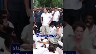 Opposition leader Gandhi detained after calling for Indian PM's resignation | DW News