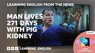 Transplanted pig kidney works inside patient for record nine months | Learning English from the News
