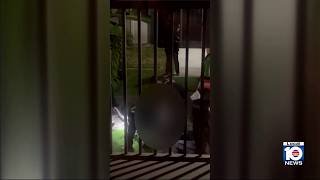 Man dies after being shot multiple times in Lauderhill , police say