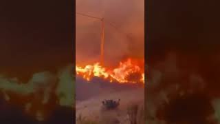 Wildfires in southern Spain kill at least 11