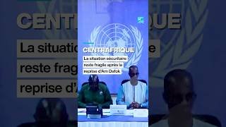 Centrafrique : la situation sécuritaire reste fragile à Am Dafok • FRANCE 24