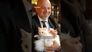 Türkiye's iconic Angora cats at the NATO Summit