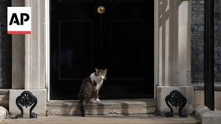 Larry the cat welcomes another UK prime minister to Downing Street