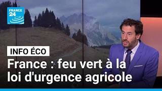 Loi d'urgence agricole : le Parlement privilégie la compétitivité • FRANCE 24