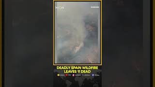Spain Wildfire Disaster: 11 Dead, 19 Missing as Massive Blaze Sweeps Almeria