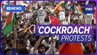 India's youth 'cockroach' movement taking on the Modi government | 7.30