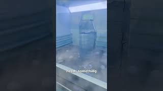 Why Water Freezes When You Tap It 😮