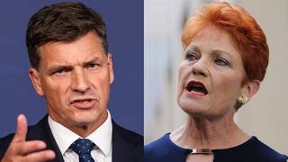 Angus Taylor says One Nation policies would bring ‘eternity of pain’