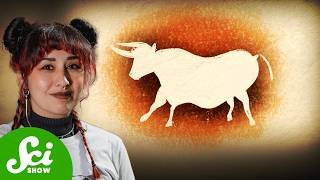 Why Are There No Wild Cows?