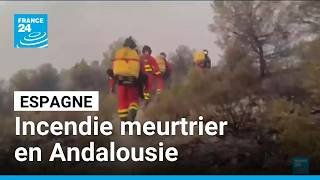 L'Andalousie en flammes : un feu de forêt meurtrier se déclenche en Espagne • FRANCE 24