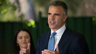 ‘People feel they’re going backwards’: Premier weighs in on One Nation rise