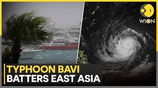 Typhoon Bavi Wreaks Havoc Across East Asia | Japan, Taiwan, China On Alert |Typhoon Bavi Latest News
