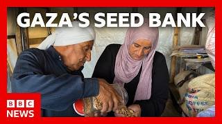 Farming to survive after two years of war | BBC News