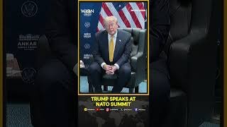 Trump Says He Ordered Cutting Off All Trade With Spain | WION Shorts