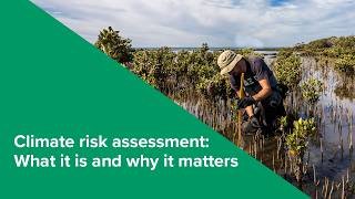 Webinar | Climate risk assessment: What it is and why it matters