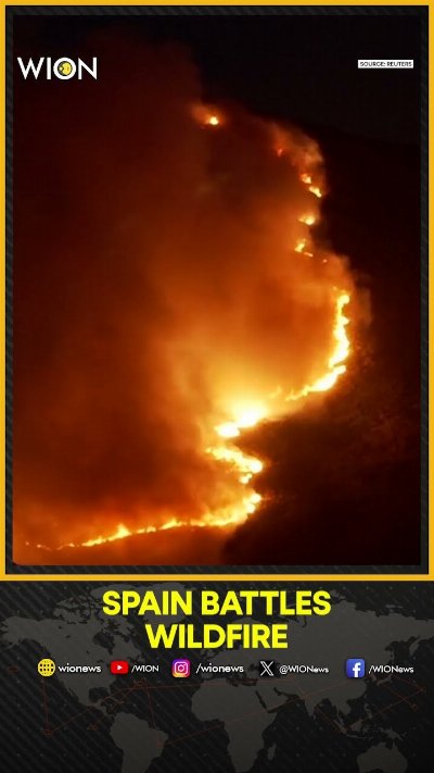 Wildfire rages overnight in Burgohondo, Spain | WION Shorts