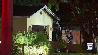Man hospitalized, 7 cats dead after house fire
