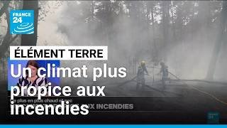 Un climat de plus en plus propice aux feux de forêt • FRANCE 24
