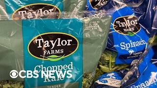 Lettuce that tested positive for cyclospora was false positive, FDA says