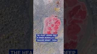 The heart hidden deep in Inner Mongolia's Tengger Desert, China#cool China