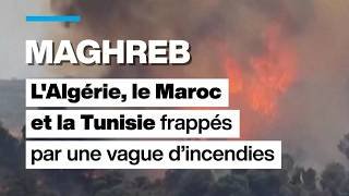 L'Algérie, le Maroc et la Tunisie frappés par une vague d'incendies • FRANCE 24