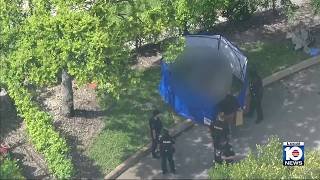 Police searching for driver in deadly hit-and-run